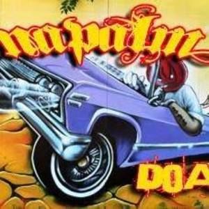 Meet your Posher, Jay